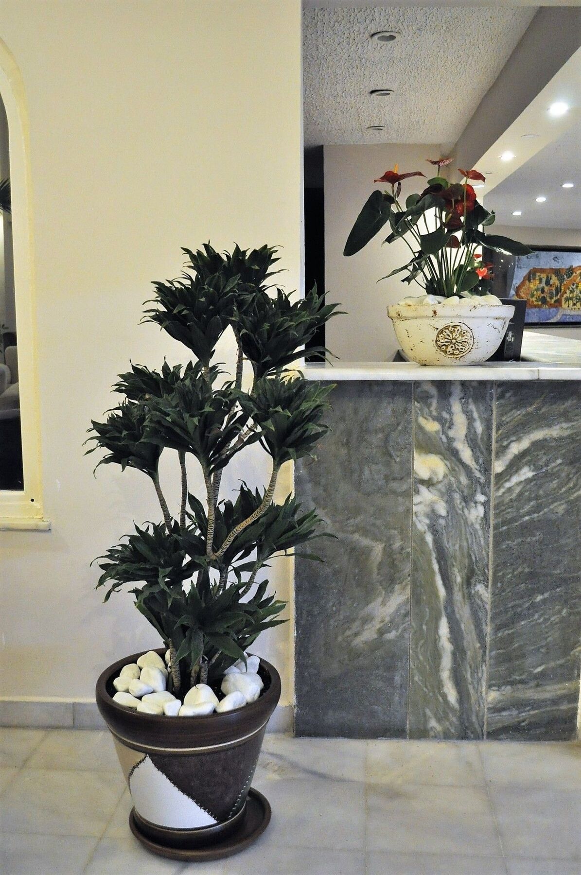 Syedra Princess Hotel Mahmutlar Ngoại thất bức ảnh